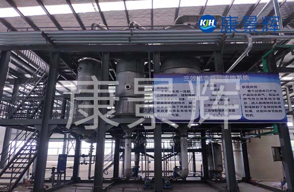 多效降膜蒸發(fā)器可以用來濃縮處理廢水，特別適合處理牛奶、淀粉、葡萄糖等食品廠廢水的加工處理中